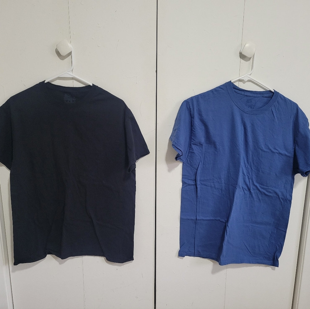 Set Of 2 Fruit Of Loom Men's Tees